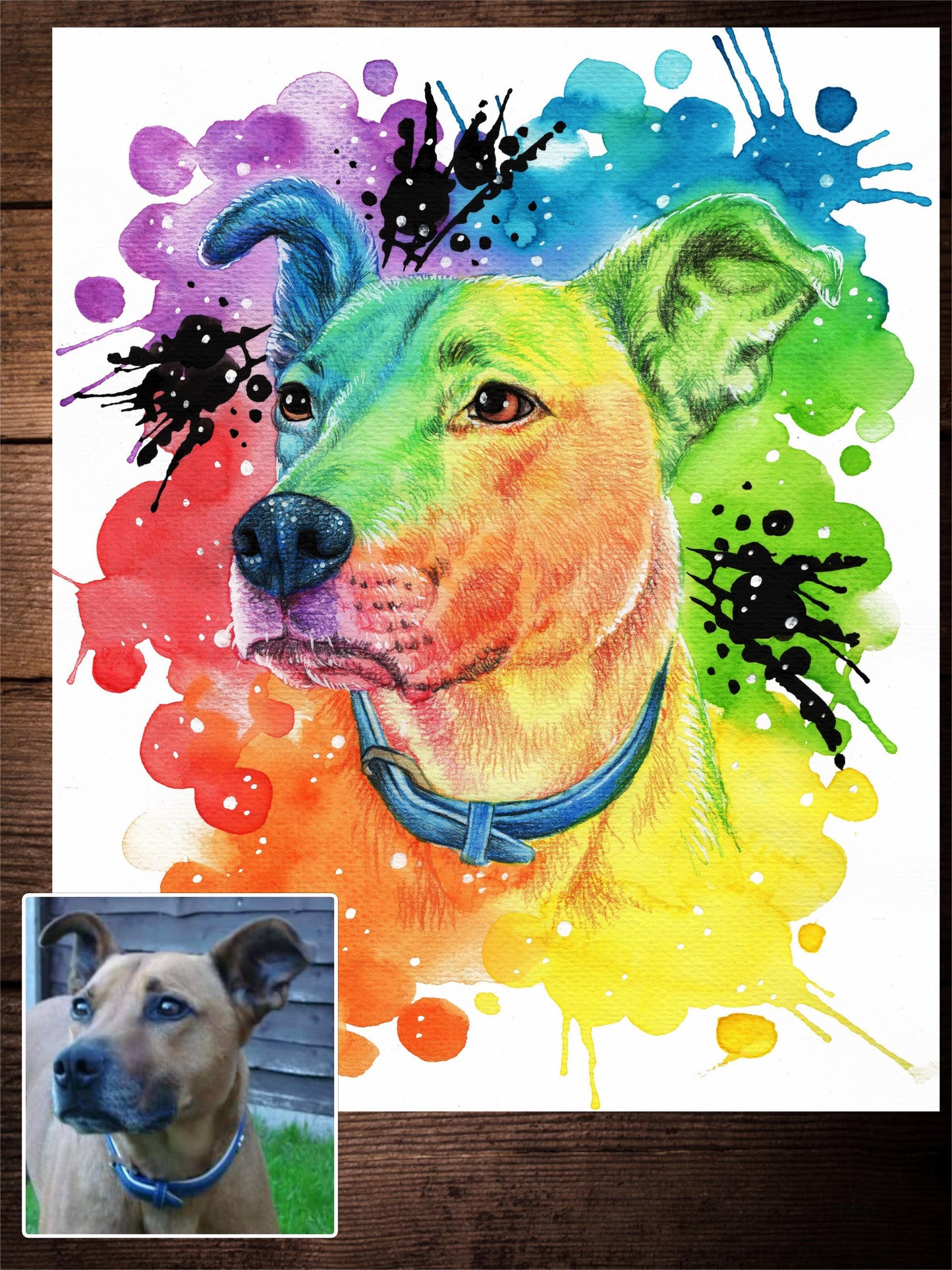 Rainbow Inspired Painted Paw-painted-paws