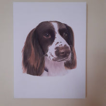 Load image into Gallery viewer, Coloured pencil pet portrait-painted-paws
