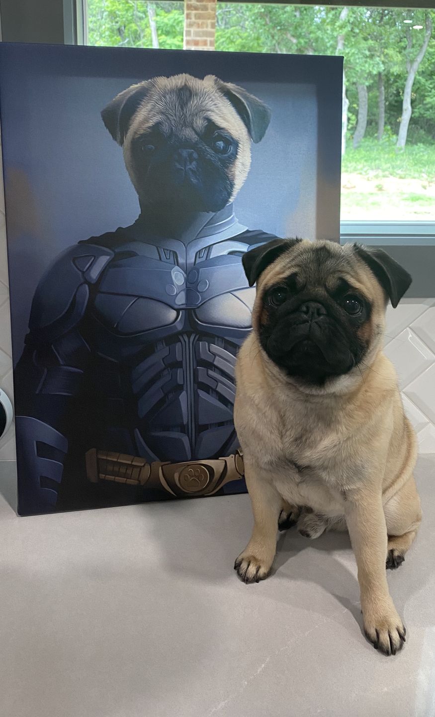 "The Hero We Deserve" - Painted Paw Pawtrait